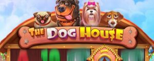 The Dog House Slot Beitragsbild